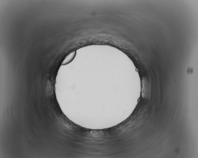 X0000100381491200807031913