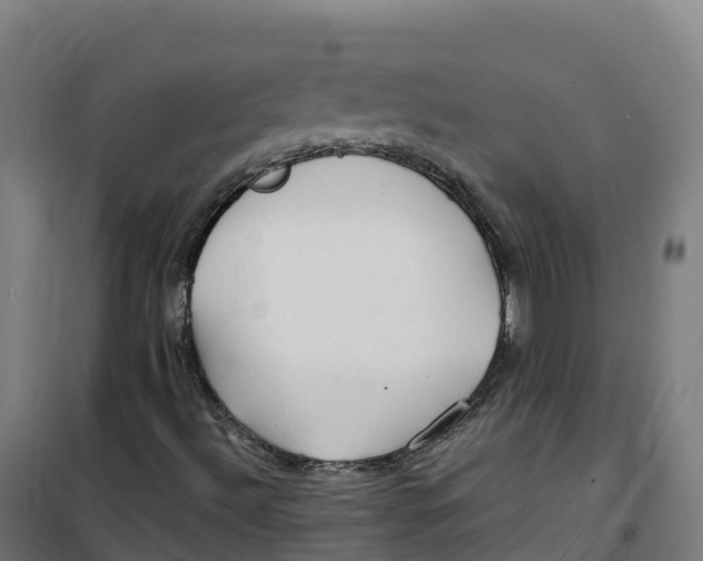 X0000100381492200807031913