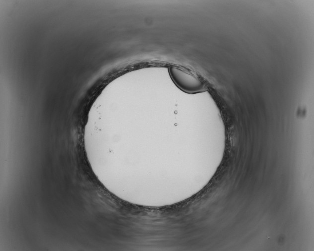 X0000100381495200807031913