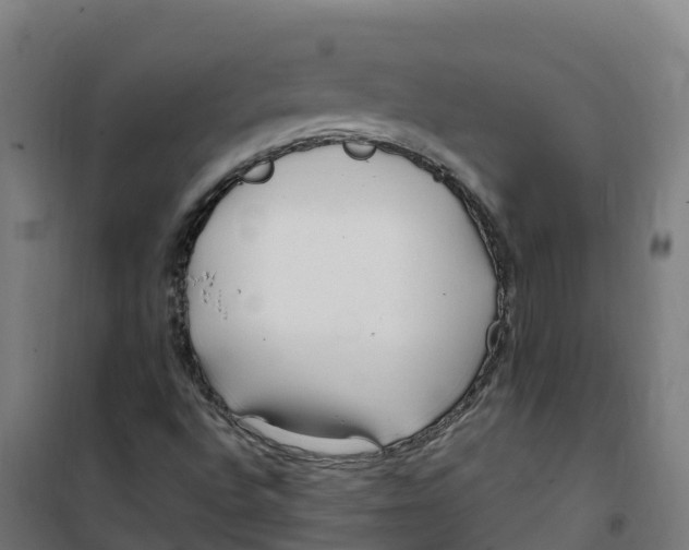 X0000100381496200807031913