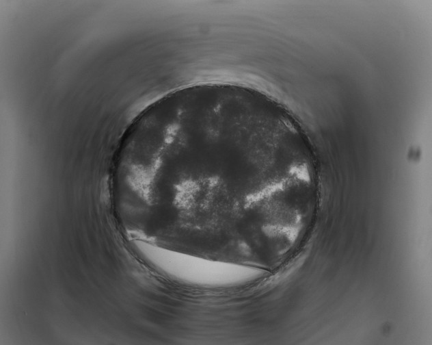 X0000100381497200807031913