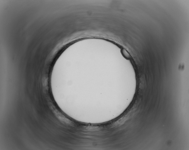 X0000100381499200807031913