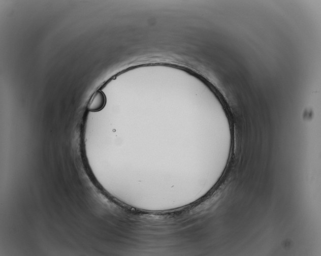 X0000100381500200807031913