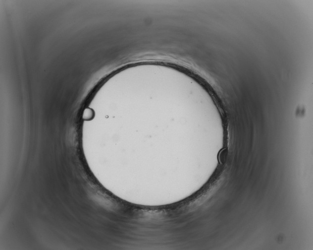 X0000100381501200807031913