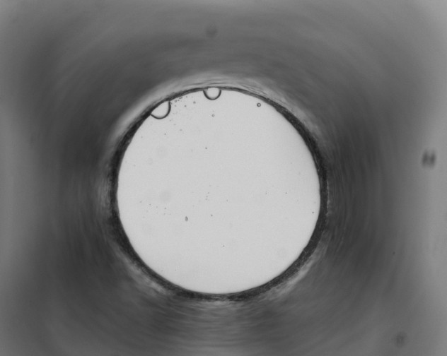 X0000100381502200807031913