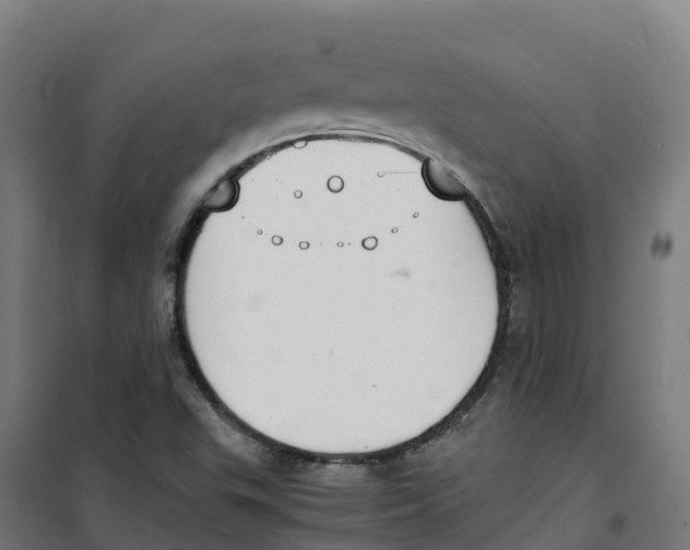 X0000100381503200807031913