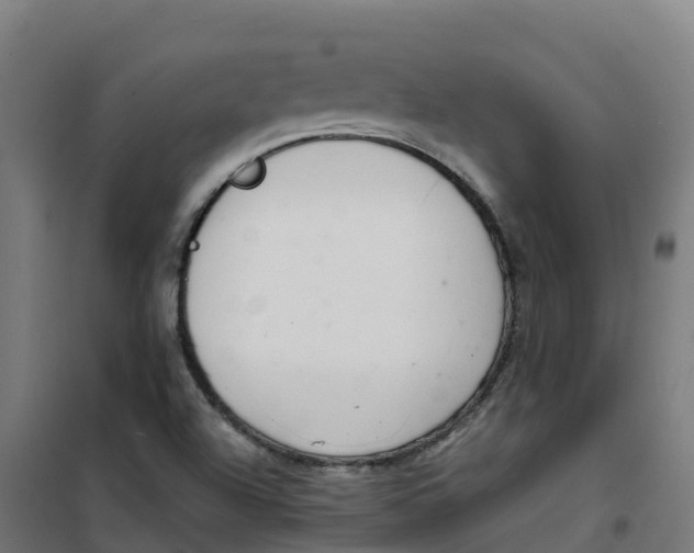 X0000100381504200807031913