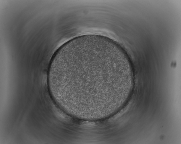 X0000100381505200807031913