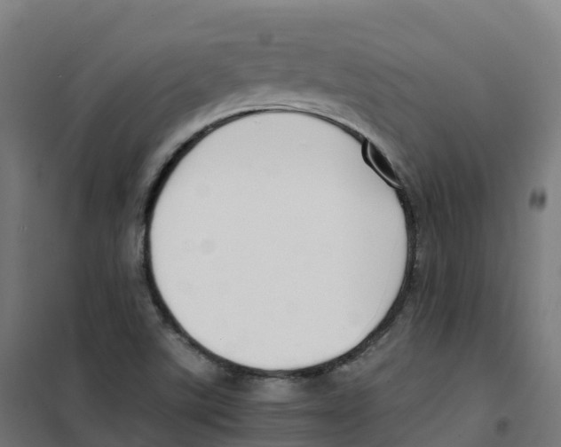 X0000100381507200807031913