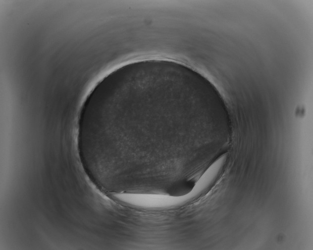 X0000100381508200807031913