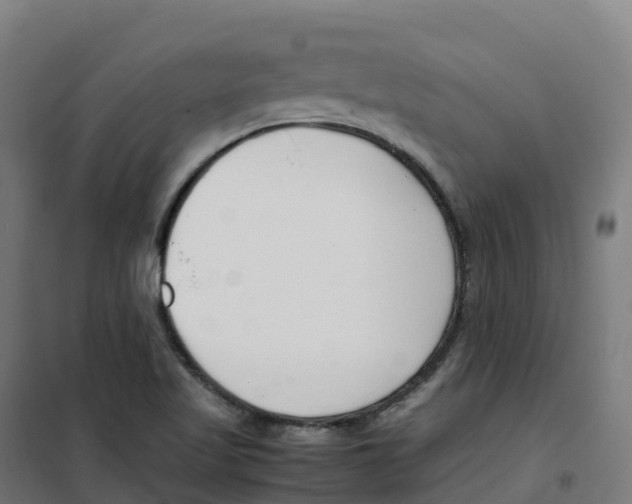 X0000100381509200807031913