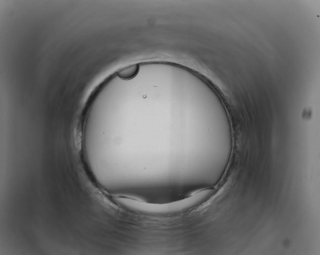 X0000100381510200807031913