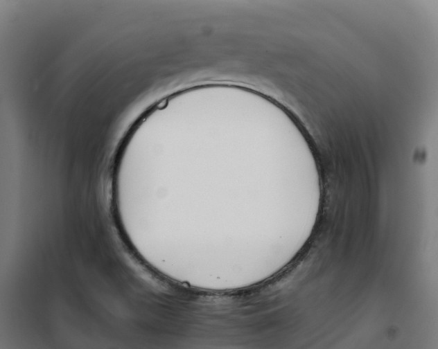 X0000100381511200807031913