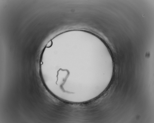 X0000100381512200807031913