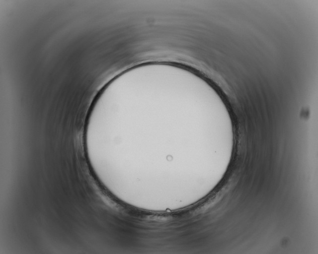 X0000100381513200807031913
