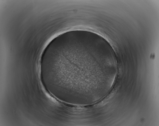 X0000100381515200807031913