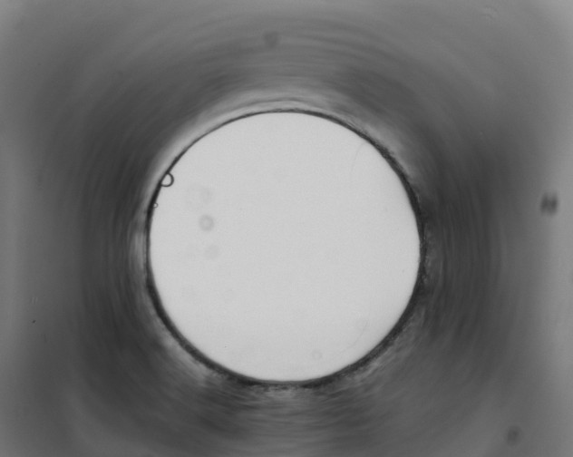X0000100381516200807031913