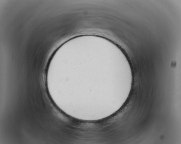 X0000100381517200807031913