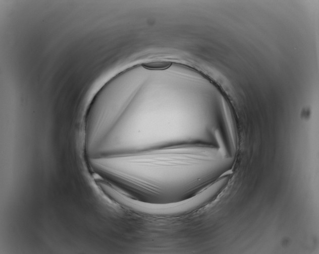 X0000100381520200807031913