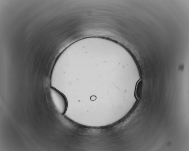 X0000100381521200807031913