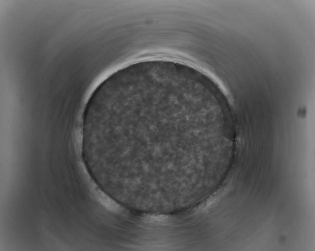 X0000100381522200807031913