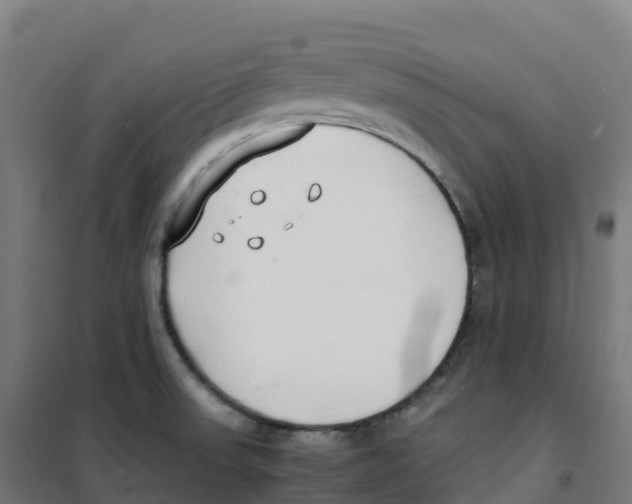 X0000100381523200807031913