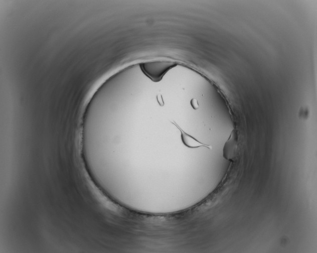 X0000100381524200807031913