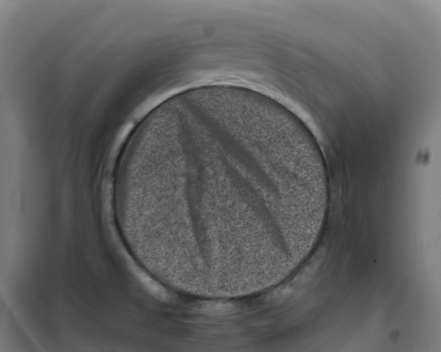 X0000100381525200807031913