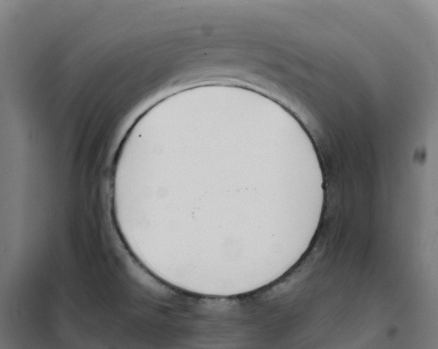 X0000100381526200807031913