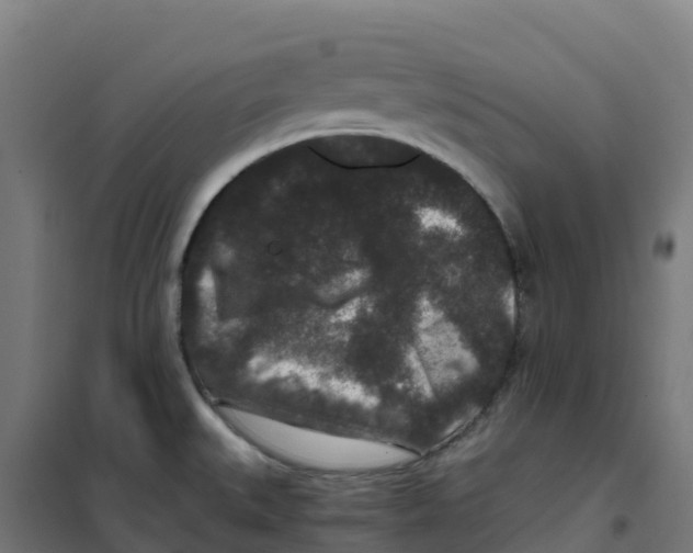 X0000100381527200807031913