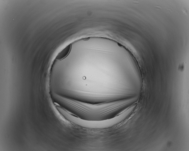X0000100381528200807031913