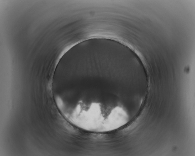 X0000100381529200807031913