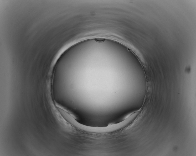 X0000100381530200807031913