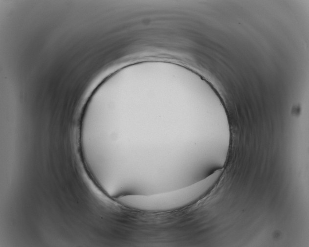 X0000100381531200807031913