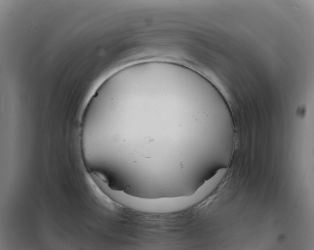 X0000100381532200807031913