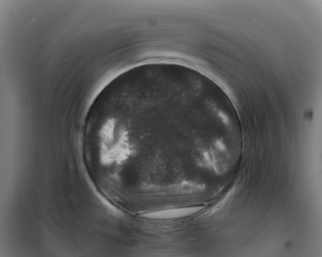 X0000100381533200807031913