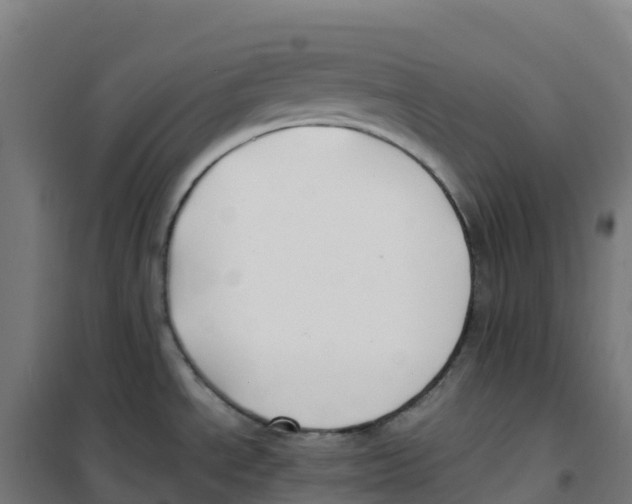 X0000100381534200807031913