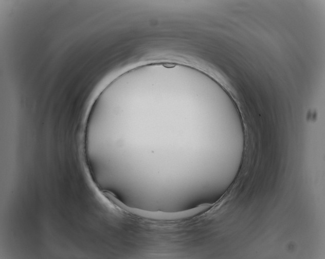 X0000100381536200807031913
