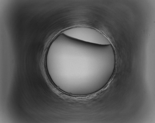 X0000100390001200806060843