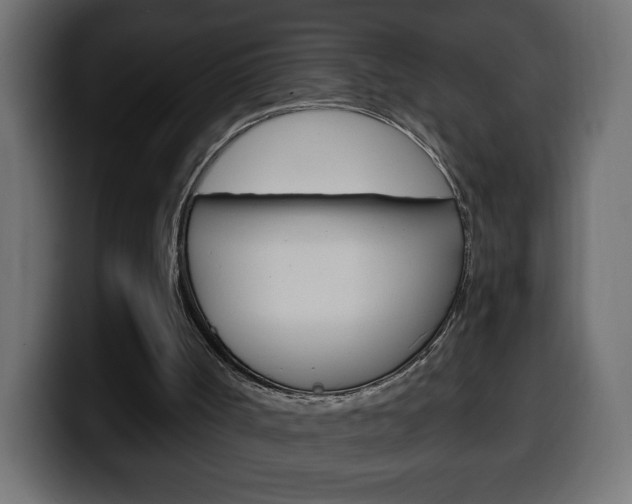 X0000100390002200806060843