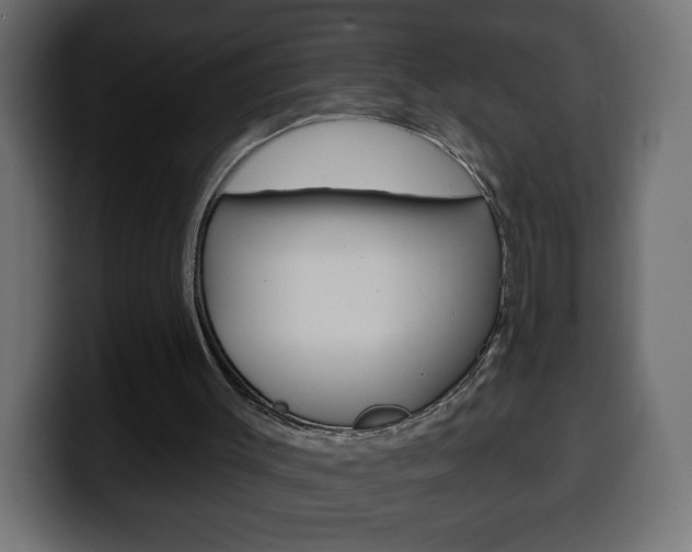 X0000100390003200806060843