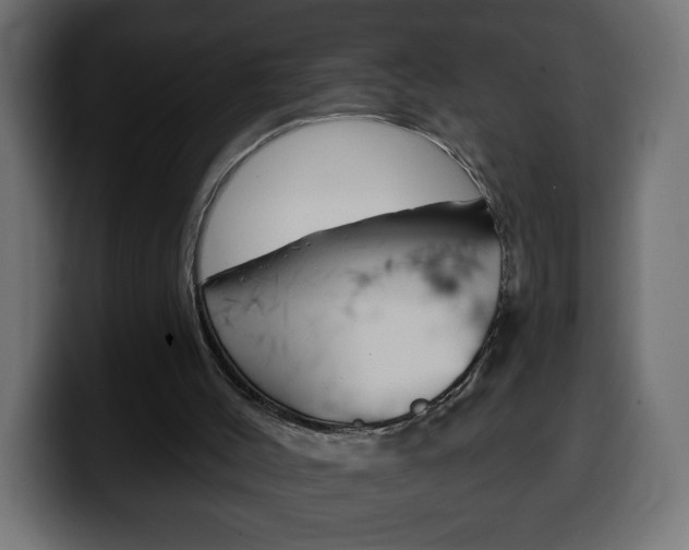 X0000100390004200806060843