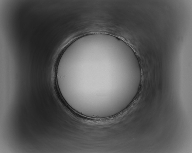X0000100390005200806060843