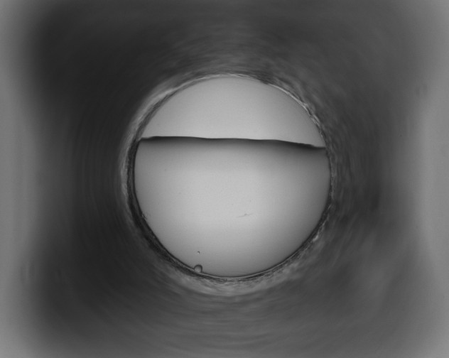 X0000100390006200806060843