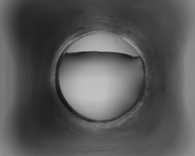 X0000100390007200806060843