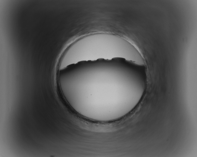 X0000100390008200806060843