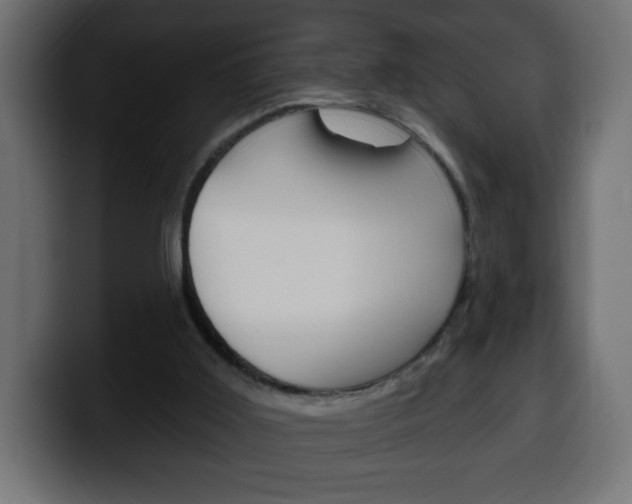 X0000100390011200806060843