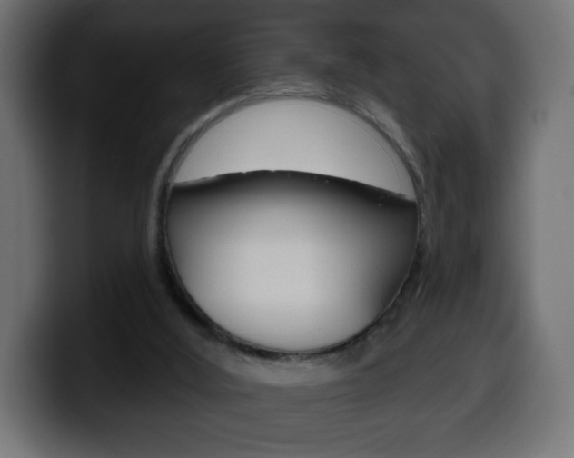 X0000100390012200806060843