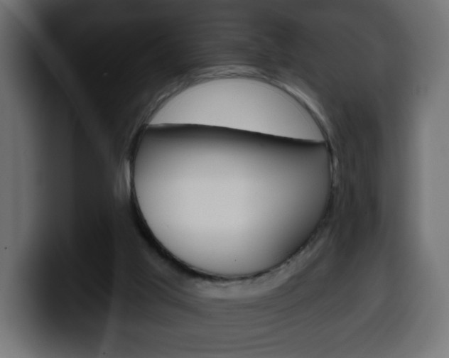 X0000100390013200806060843