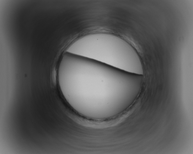 X0000100390014200806060843